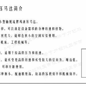 星空xingkong（中国）侧油口系列马达